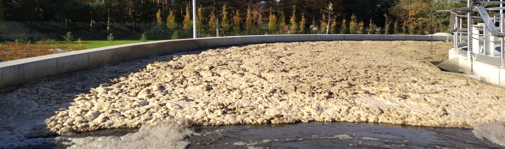 Efektywność oczyszczania ścieków Efektywność oczyszczania ścieków