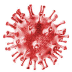 Koronawirus